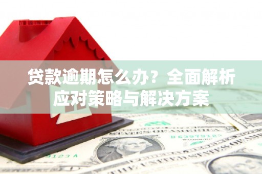 中方贷款逾期怎么办？全面解析应对策略与解决方案