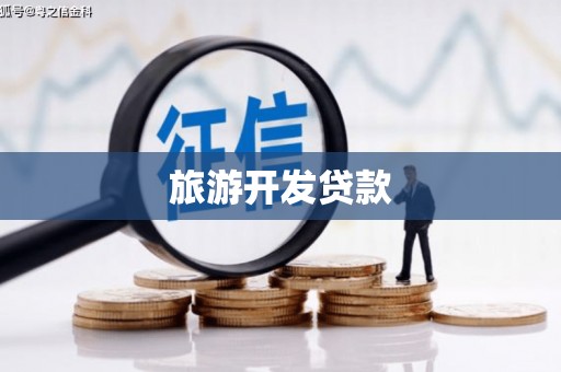 志丹旅游开发贷款