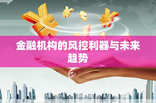 盘龙金融机构的风控利器与未来趋势