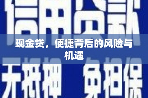格尔木现金贷，便捷背后的风险与机遇