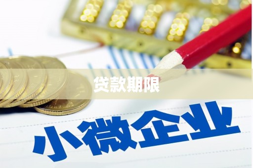 天元贷款期限