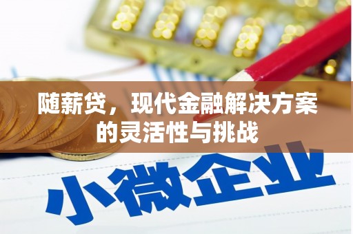 泾县随薪贷，现代金融解决方案的灵活性与挑战