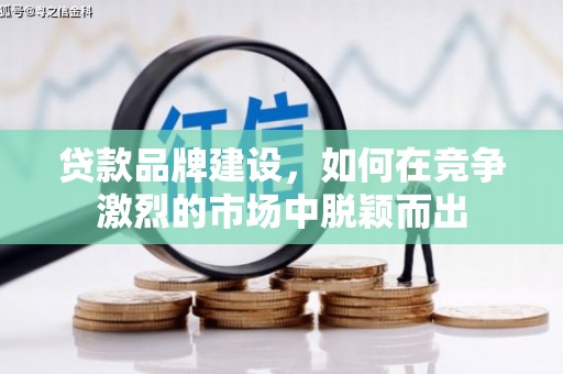 南宫贷款品牌建设，如何在竞争激烈的市场中脱颖而出