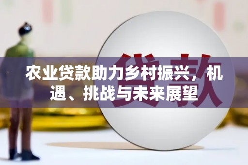 北仑农业贷款助力乡村振兴，机遇、挑战与未来展望