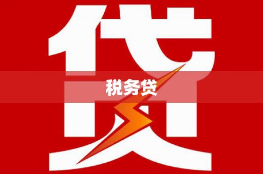 岐山税务贷