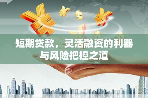 静宁短期贷款，灵活融资的利器与风险把控之道
