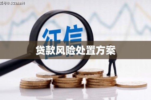 唐县贷款风险处置方案