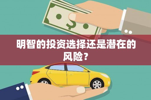 嘉荫明智的投资选择还是潜在的风险？