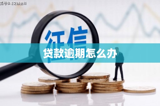 温宿贷款逾期怎么办