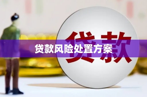 淮阳贷款风险处置方案