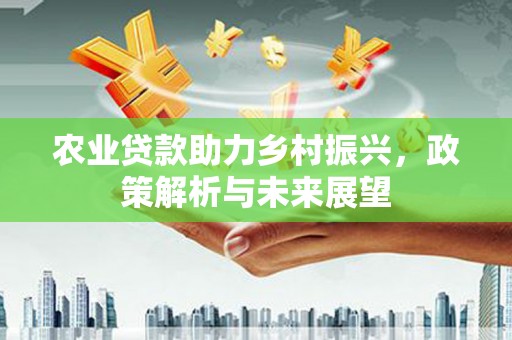 澎湖农业贷款助力乡村振兴，政策解析与未来展望