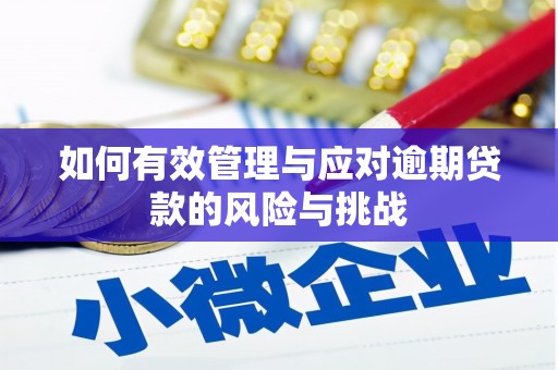 美姑如何有效管理与应对逾期贷款的风险与挑战