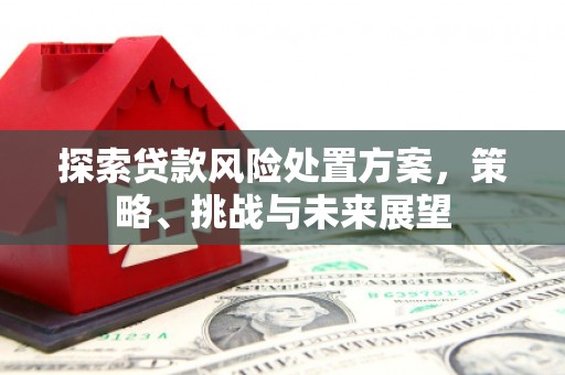陆良探索贷款风险处置方案，策略、挑战与未来展望