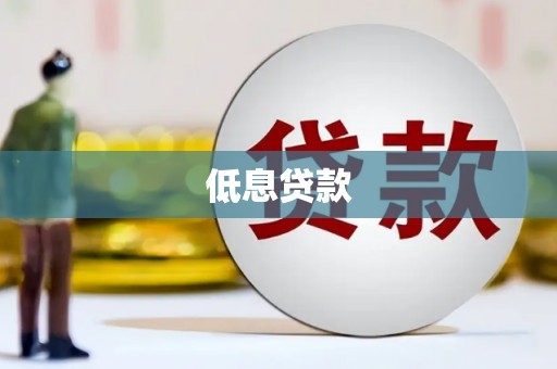 萨嘎低息贷款