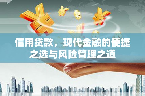 滦南信用贷款，现代金融的便捷之选与风险管理之道