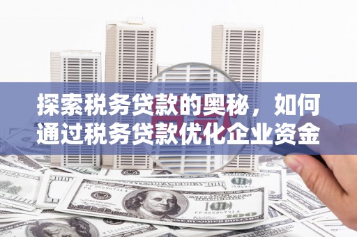 来宾探索税务贷款的奥秘，如何通过税务贷款优化企业资金流
