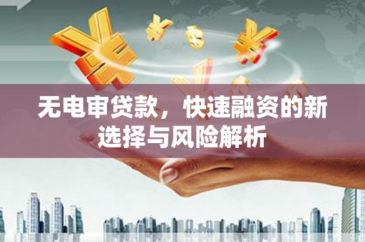 岭东无电审贷款，快速融资的新选择与风险解析