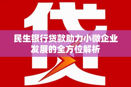 芬园民生银行贷款助力小微企业发展的全方位解析