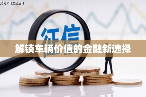 赵县解锁车辆价值的金融新选择