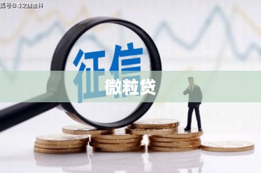 圣安多尼堂区微粒贷