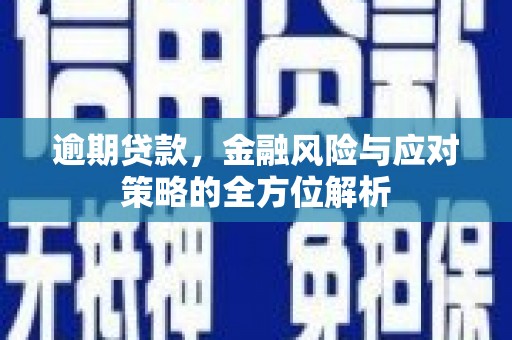 西秀逾期贷款，金融风险与应对策略的全方位解析
