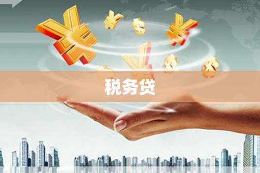 南康税务贷
