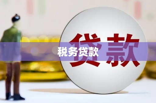集贤税务贷款