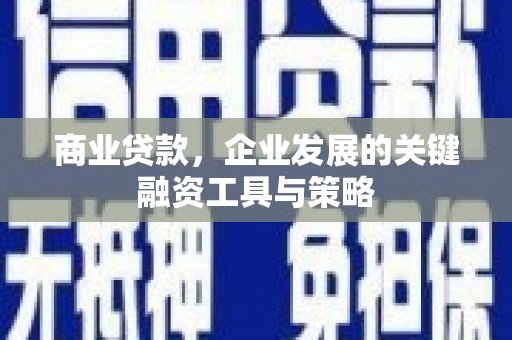 旅顺口商业贷款，企业发展的关键融资工具与策略
