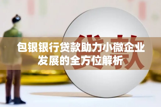 哈尔滨包银银行贷款助力小微企业发展的全方位解析