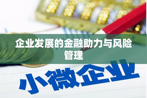 洛扎企业发展的金融助力与风险管理