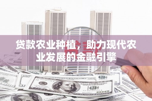 市中区贷款农业种植，助力现代农业发展的金融引擎