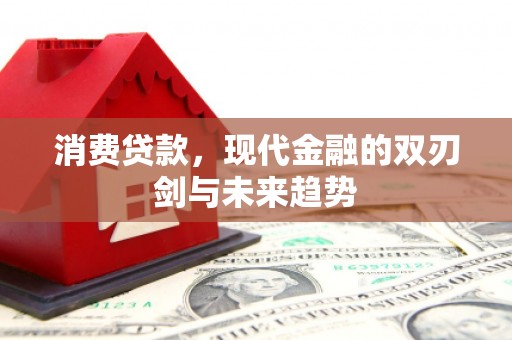 普湾新区消费贷款，现代金融的双刃剑与未来趋势
