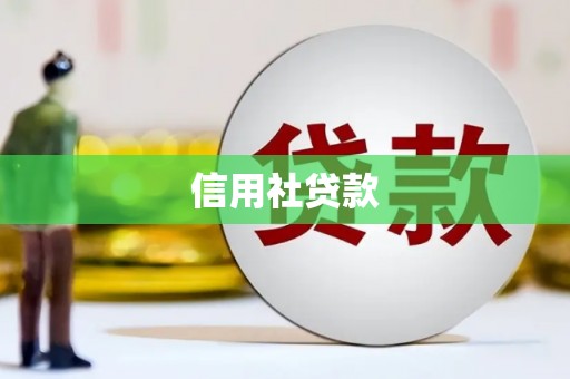 惠来信用社贷款