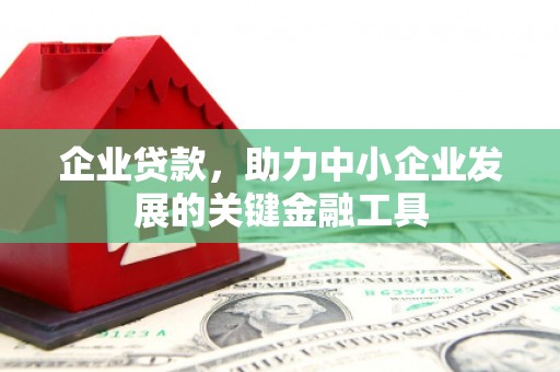 海南企业贷款，助力中小企业发展的关键金融工具