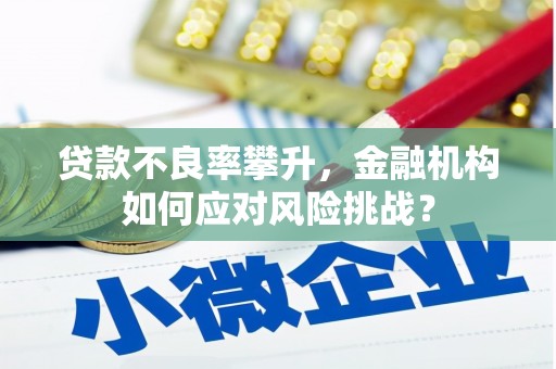 临翔贷款不良率攀升，金融机构如何应对风险挑战？