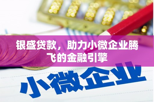 盐源银盛贷款，助力小微企业腾飞的金融引擎