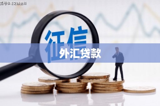 米脂外汇贷款