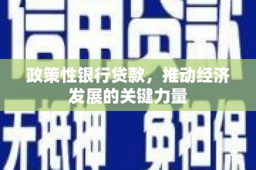 元谋政策性银行贷款，推动经济发展的关键力量