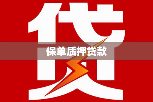 共和保单质押贷款