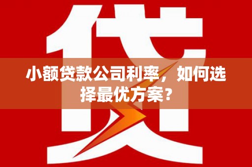泰山小额贷款公司利率，如何选择最优方案？