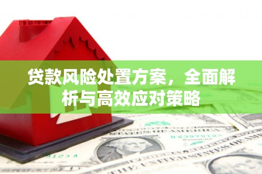 鲅鱼圈贷款风险处置方案，全面解析与高效应对策略