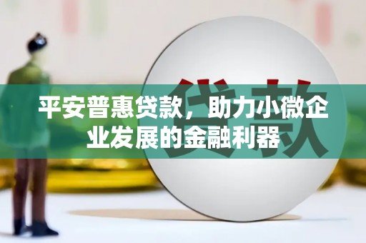 纳溪平安普惠贷款，助力小微企业发展的金融利器