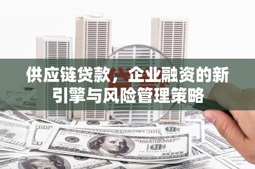 盘龙供应链贷款，企业融资的新引擎与风险管理策略