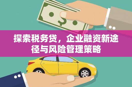 西岗探索税务贷，企业融资新途径与风险管理策略