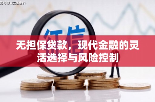 南海无担保贷款，现代金融的灵活选择与风险控制