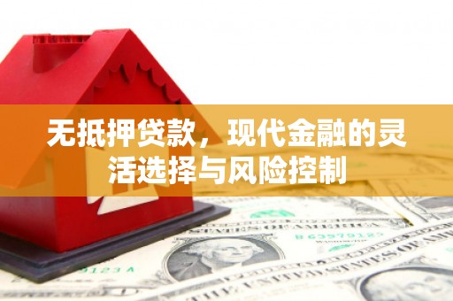 平顶山无抵押贷款，现代金融的灵活选择与风险控制