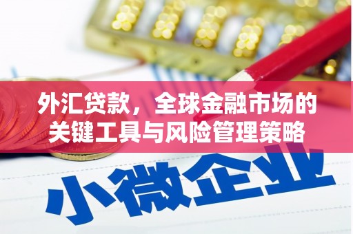 台湾外汇贷款，全球金融市场的关键工具与风险管理策略