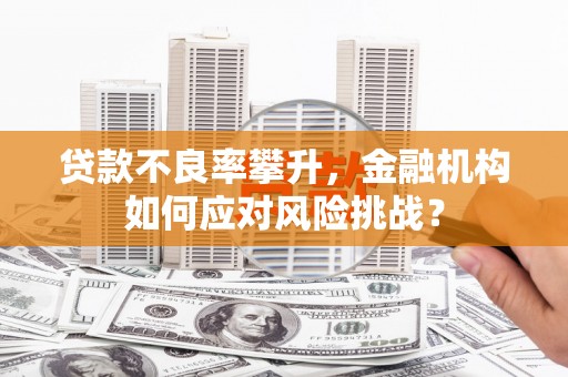 金阳贷款不良率攀升，金融机构如何应对风险挑战？