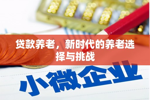 曲麻莱贷款养老，新时代的养老选择与挑战
