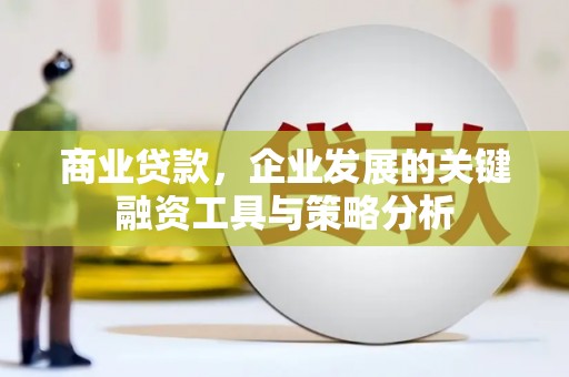 金宁商业贷款，企业发展的关键融资工具与策略分析